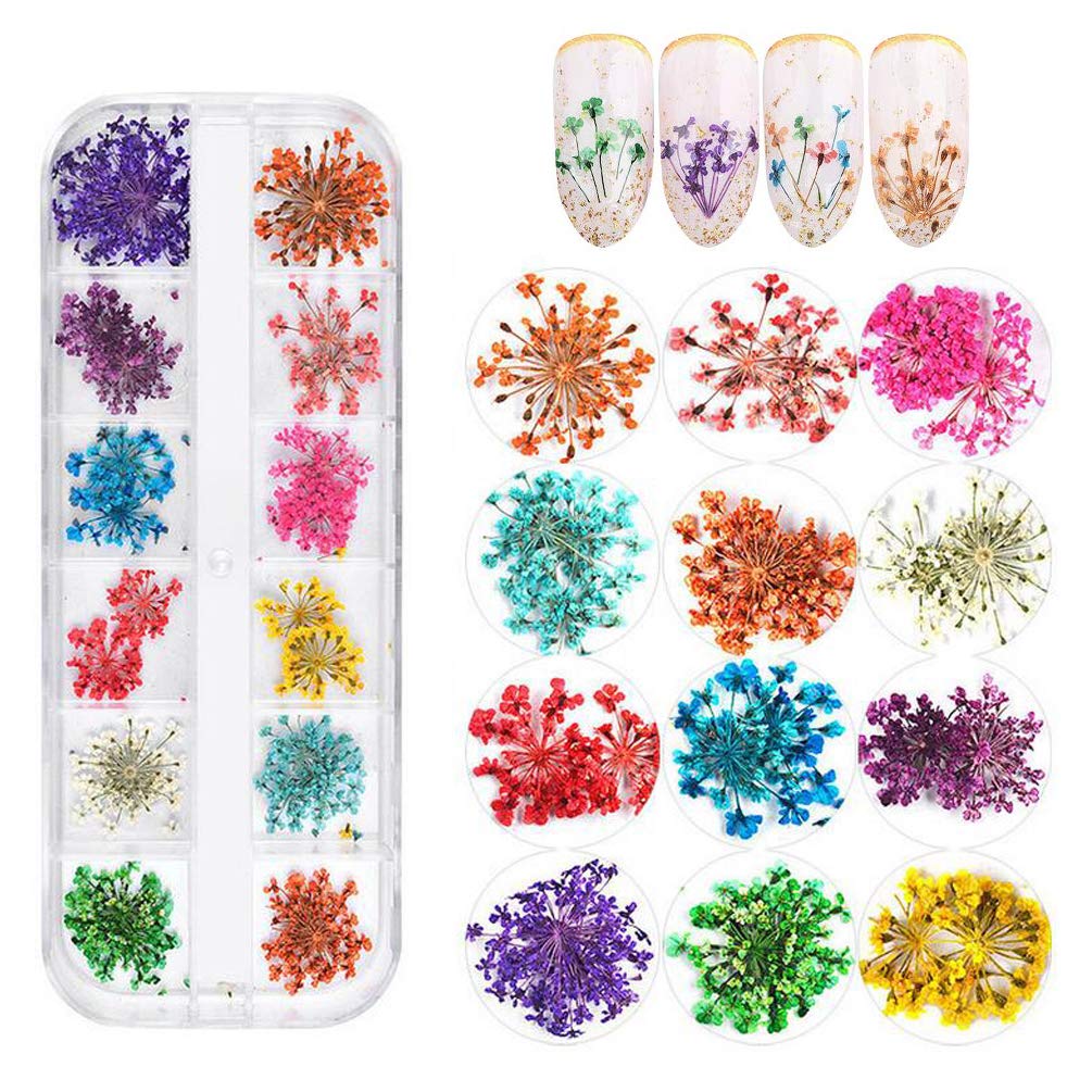 Nail Charms- Dried Flowers