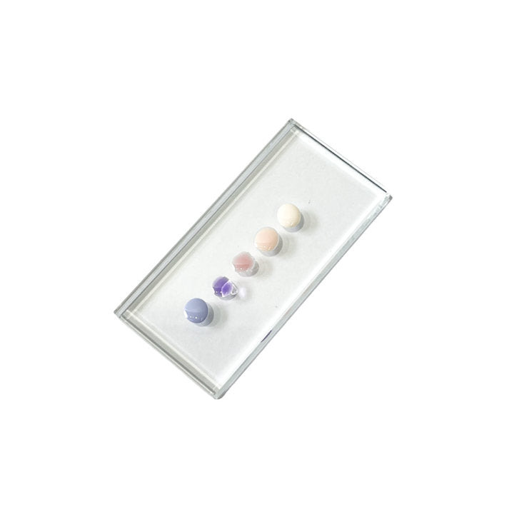 Nail Color Glass Palettes